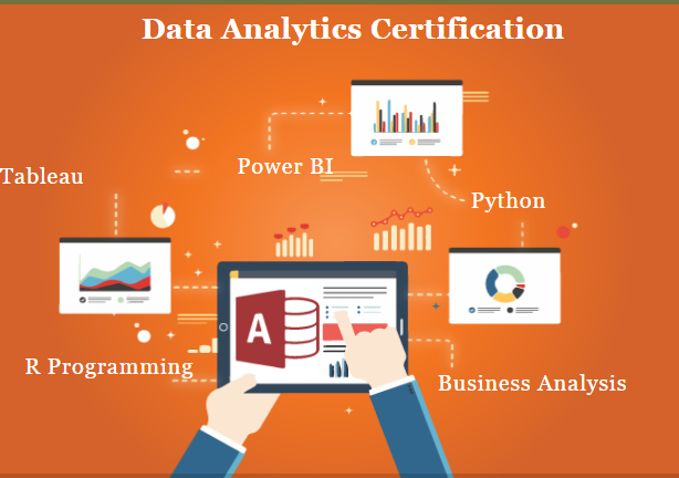 best-data-analytics-course-in-delhi-with-free-python-100-placement-learn-new-skill-of-2025-by-sla-institute-credit-rating-analyst-big-0