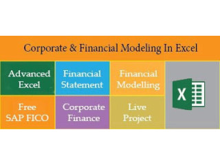 Financial Modelling Certification Course in Delhi.110027. Best Online Live Financial Analyst Training in Ranchi by IIT Faculty